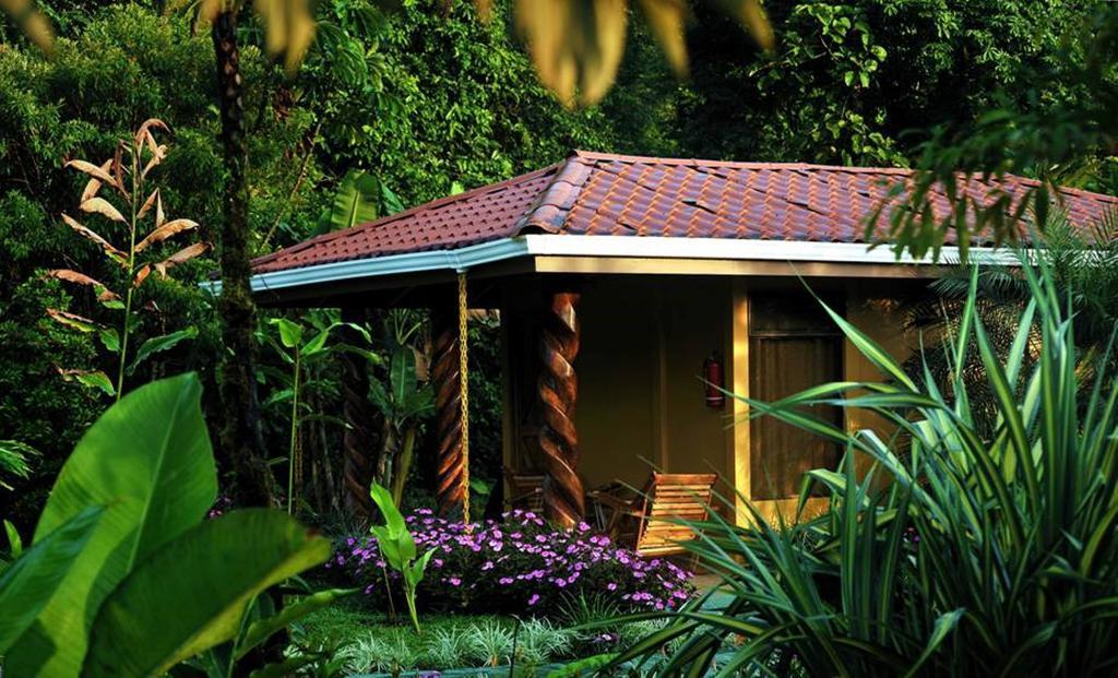 Hotel Catarata Rio Celeste ビハグア 部屋 写真