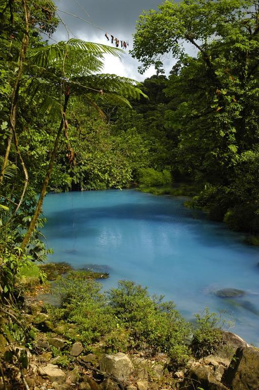 Hotel Catarata Rio Celeste ビハグア エクステリア 写真