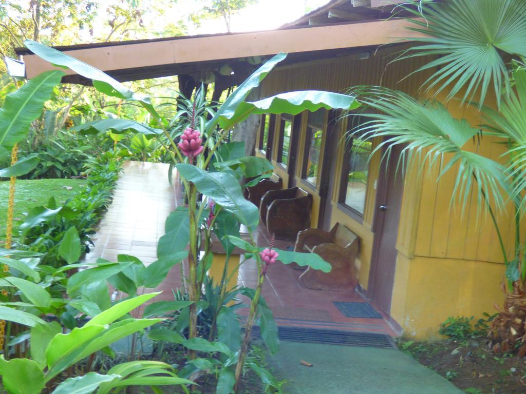 Hotel Catarata Rio Celeste ビハグア エクステリア 写真