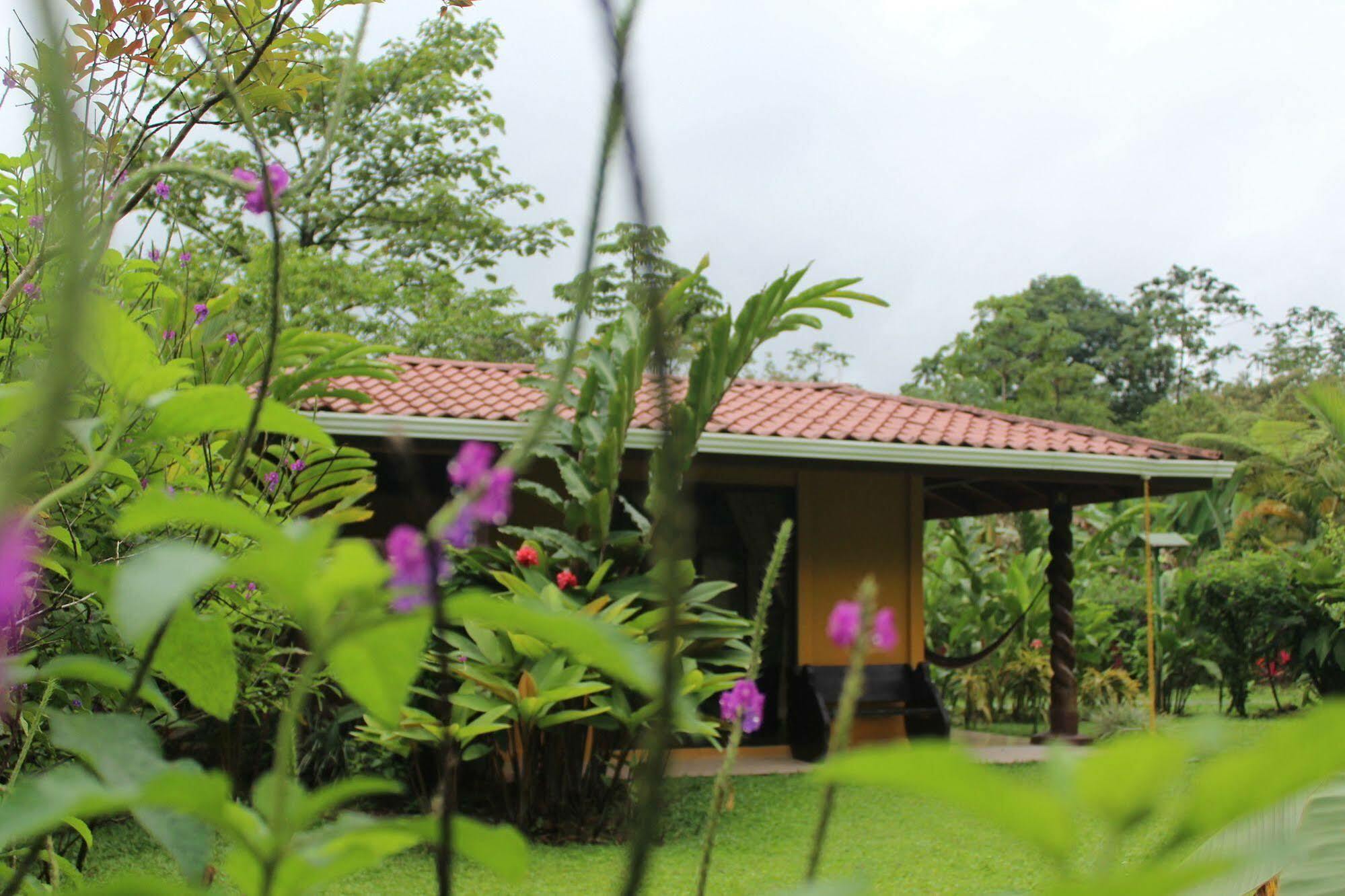 Hotel Catarata Rio Celeste ビハグア エクステリア 写真