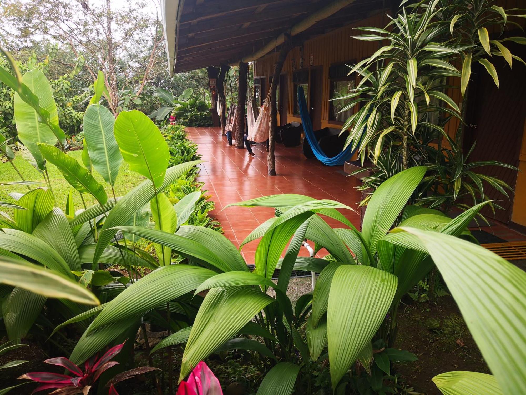 Hotel Catarata Rio Celeste ビハグア エクステリア 写真